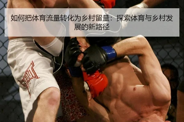 ru-he-ba-ti-yu-liu-liang-zhuan-hua-wei-xiang-cun-liu-liang-tan-suo-ti-yu-yu-xiang-cun-fa-zhan-de-xin-lu-jing-2-381.jpg
