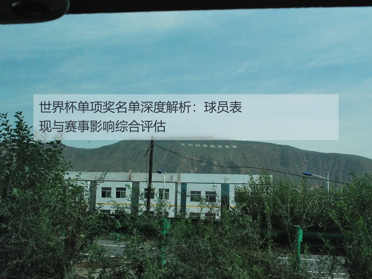 世界杯单项奖名单深度解析：球员表现与赛事影响综合评估