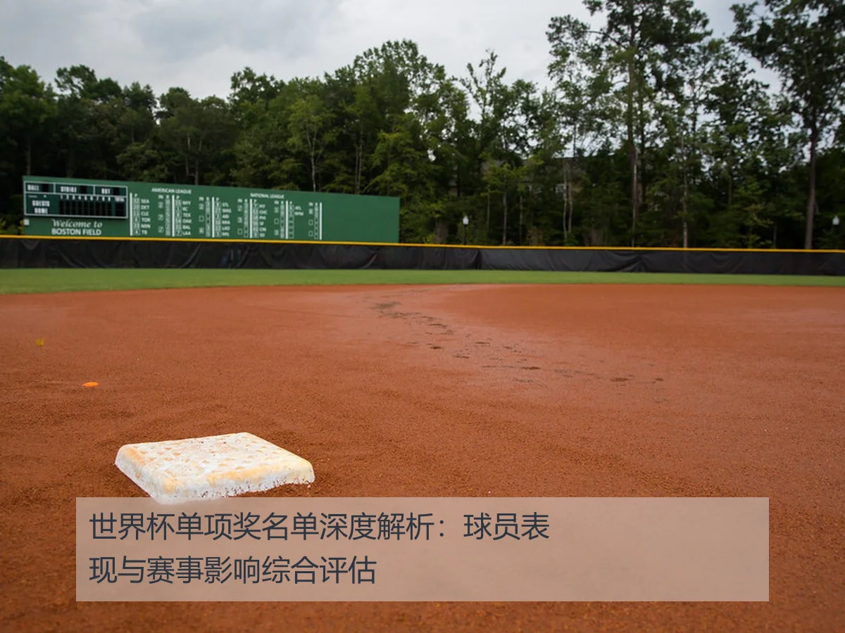 世界杯单项奖名单深度解析：球员表现与赛事影响综合评估